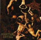 Angel Guts : Perpetual Hatred (EP)